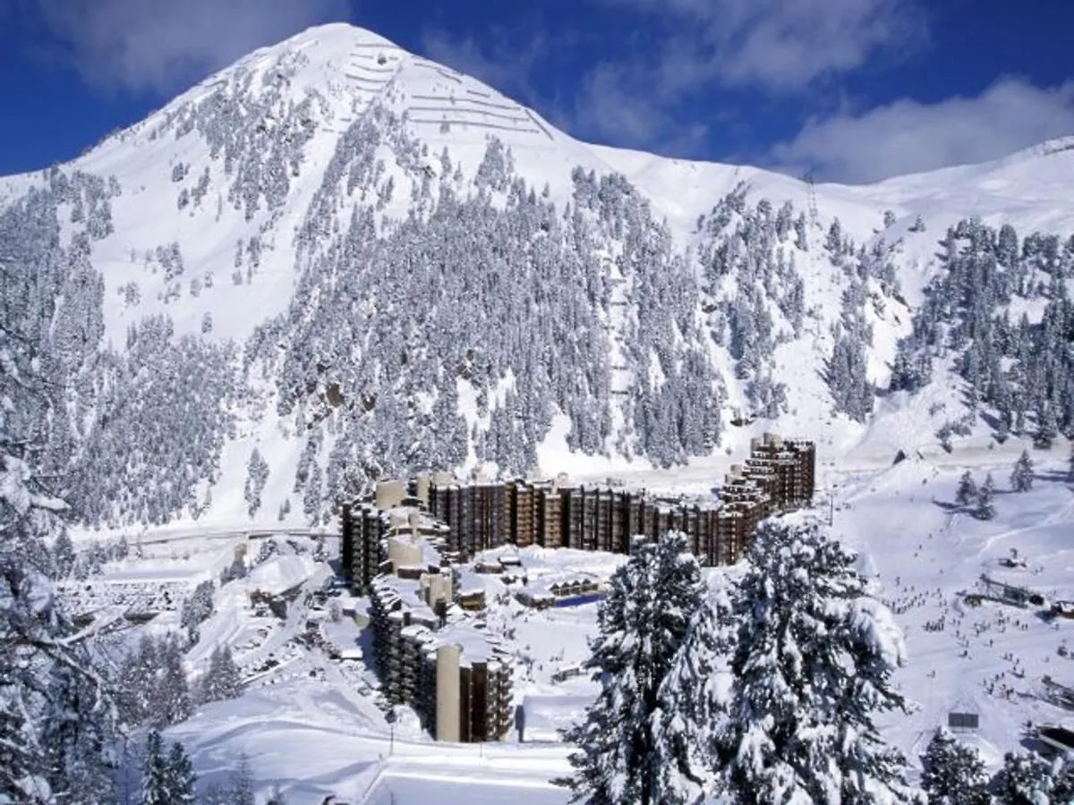 Apartment Appartement Ski Aux Pieds, 4 Pers, Balcon, Animaux Admis - Fr-1-181-2376 La Plagne-Tarentaise